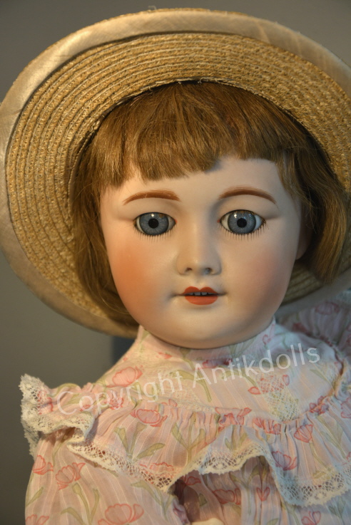 SFBJ Unis France SFBJ Unis France