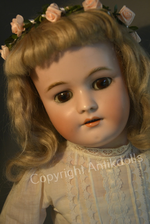 Handwerck 55cm Handwerck 55cm